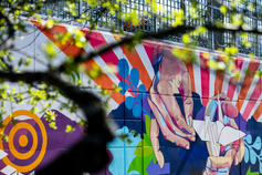 College of Arts, Media and Design Scholarship